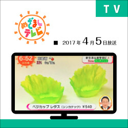 TV:めざましテレビ2017年4月放送